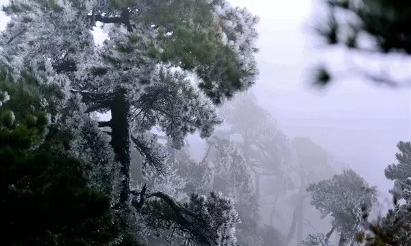 莒县农商银行：“开门红”势头强劲